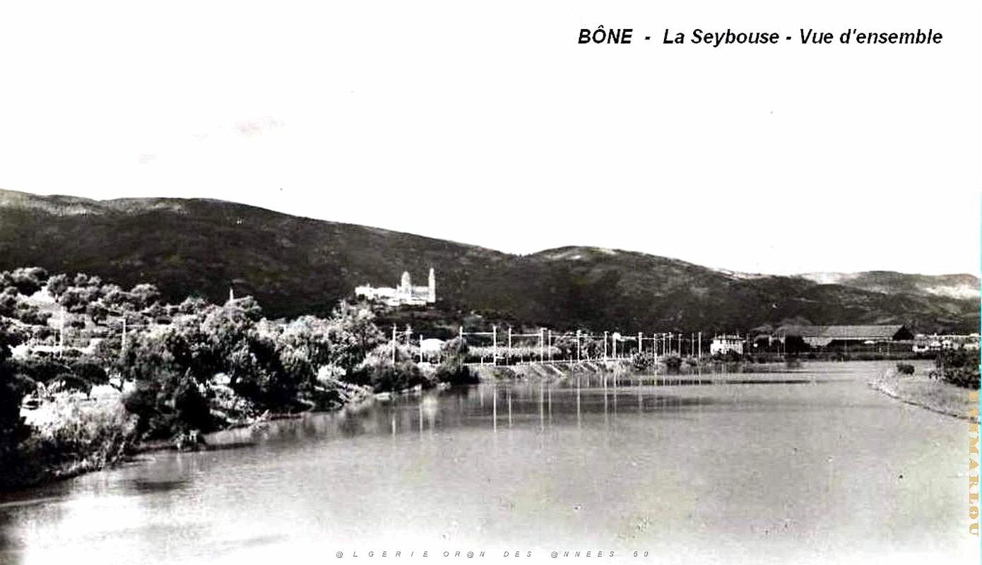 Bone -Hippone - Seybouse - Vue d'ensemble.jpg